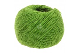 Ecopuno nr 68 appelgroen